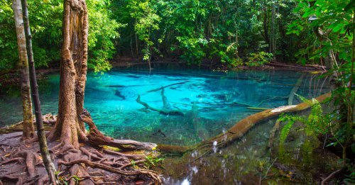 Emerald Pool Krabi