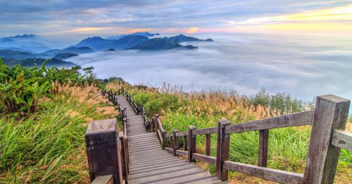 Alishan - Taiwan