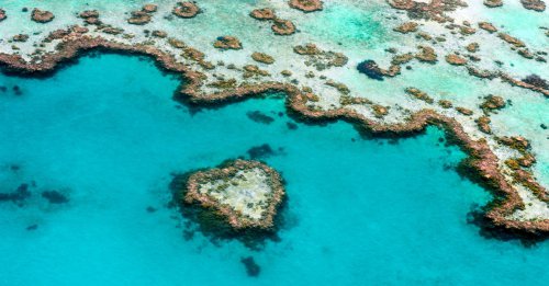 Veľká koralová bariéra - Queensland