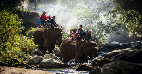 Laos - krajina usmievajúcich sa psov