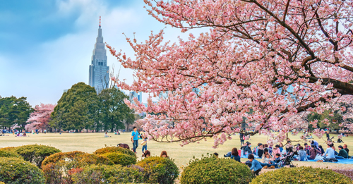 Národná záhrada Shinjuku Gyoen