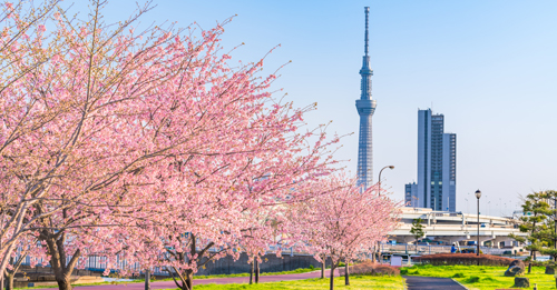 Tokio SkyTree