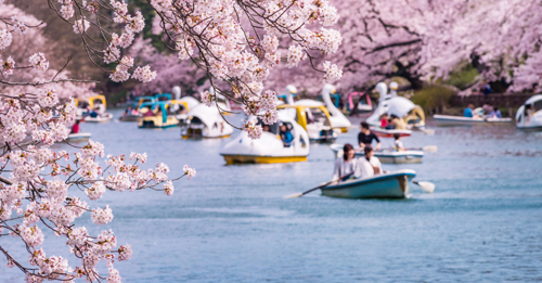 Inokashira Park ZOO