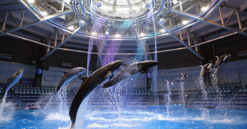 Shinagawa Aquarium