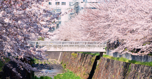 Yamazaki River