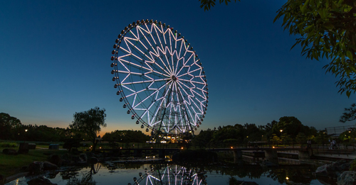 Diamond and Flowers Ferris Wheel