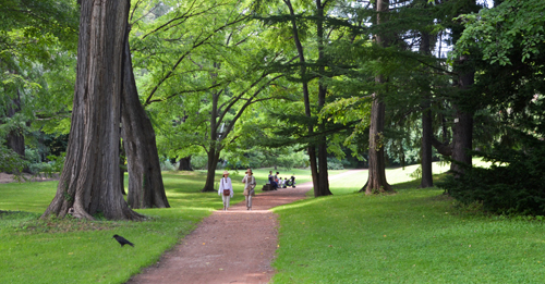 Botanická záhrada univerzity Hokkaido