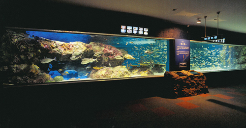 Sunpiazza Aquarium